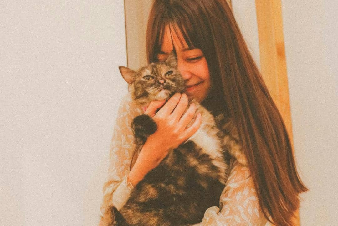 unsplash.com/Nguyễn Hiệp