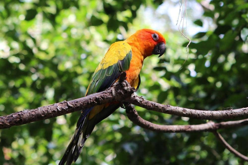 instagram.com/glzoojogja