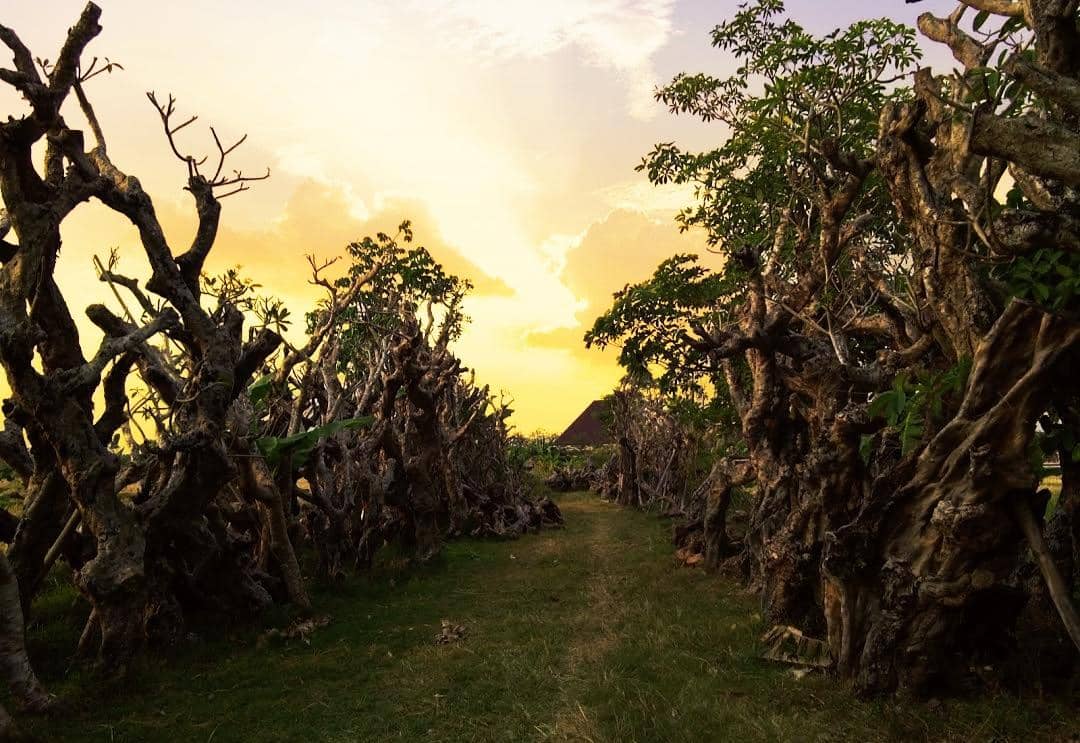 rumahpendidik.web.id