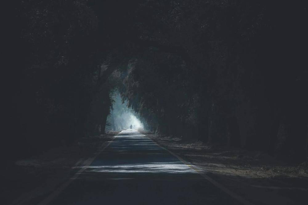 pexels.com/Syed Hasan Mehdi