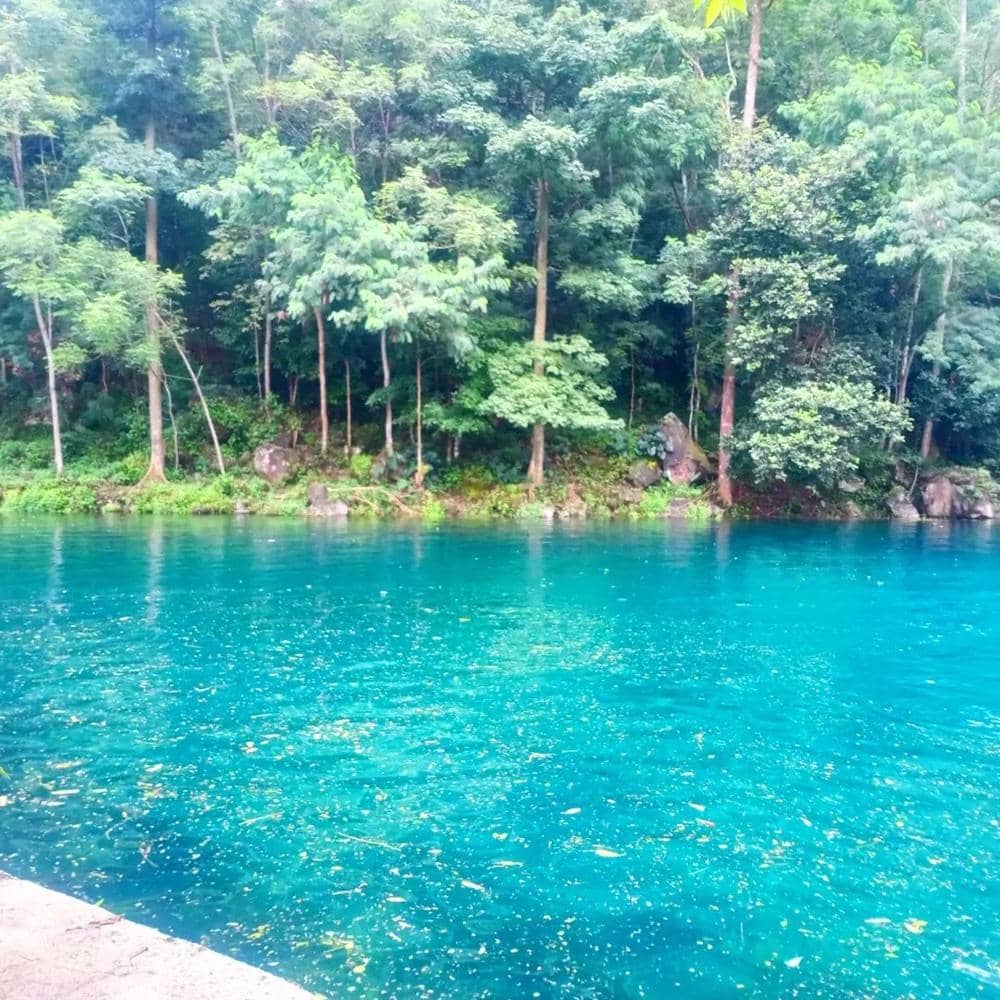 instagram.com/telagabirunila