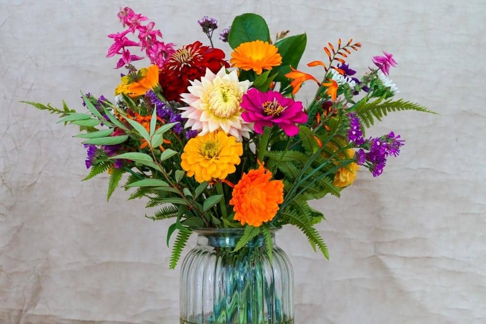 Moorfield Farm Flowers