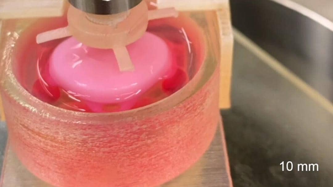 centraloregondaily.com