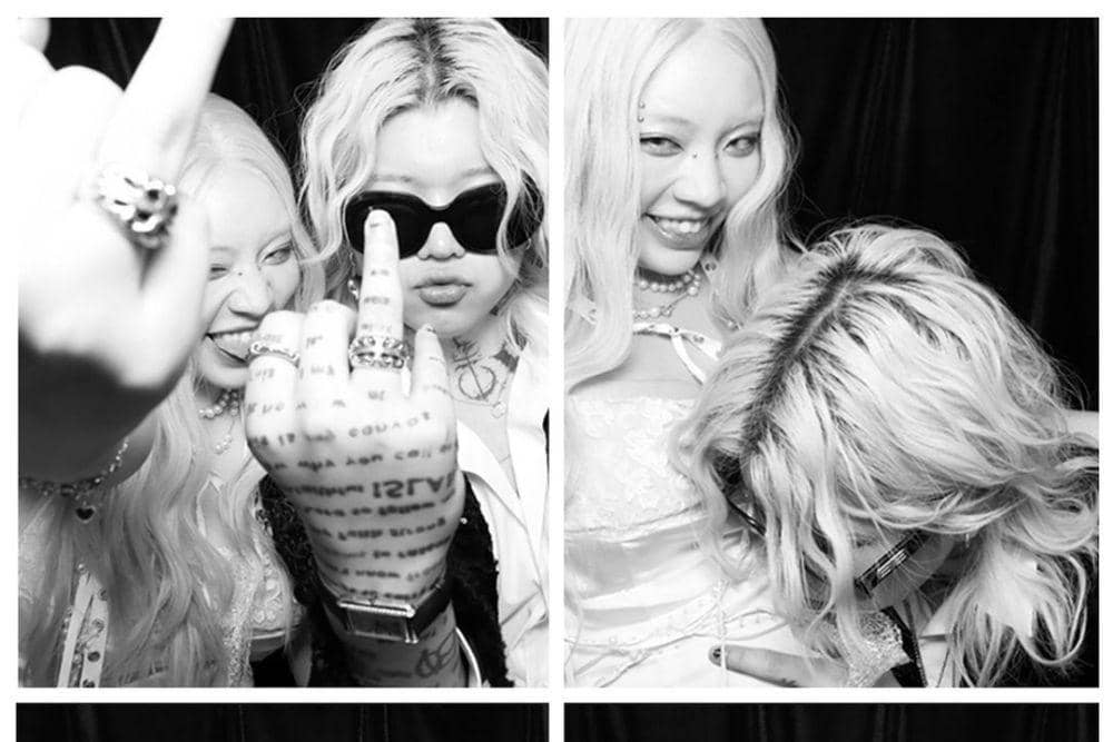 instagram.com/ash.island