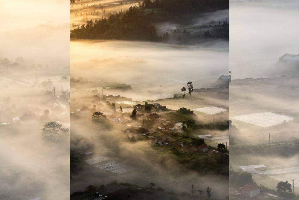 5 Tempat Wisata di Kintamani Bali, Khusus untuk Healing dari Keramaian
