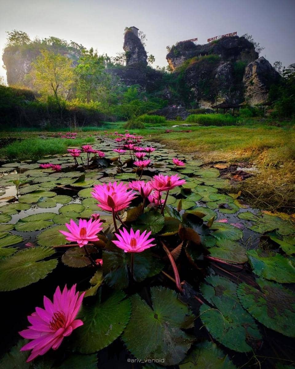 instagram.com/ariv_venoid