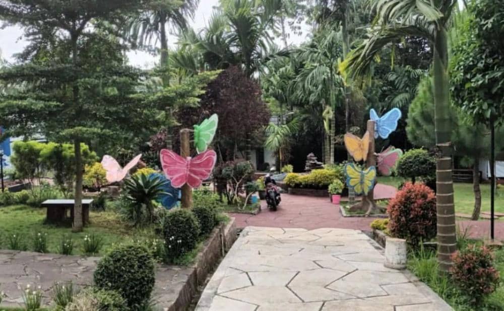 Instagram.com/kukupupanenjoan