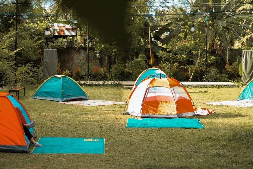 Instagram.com/ozemagarden