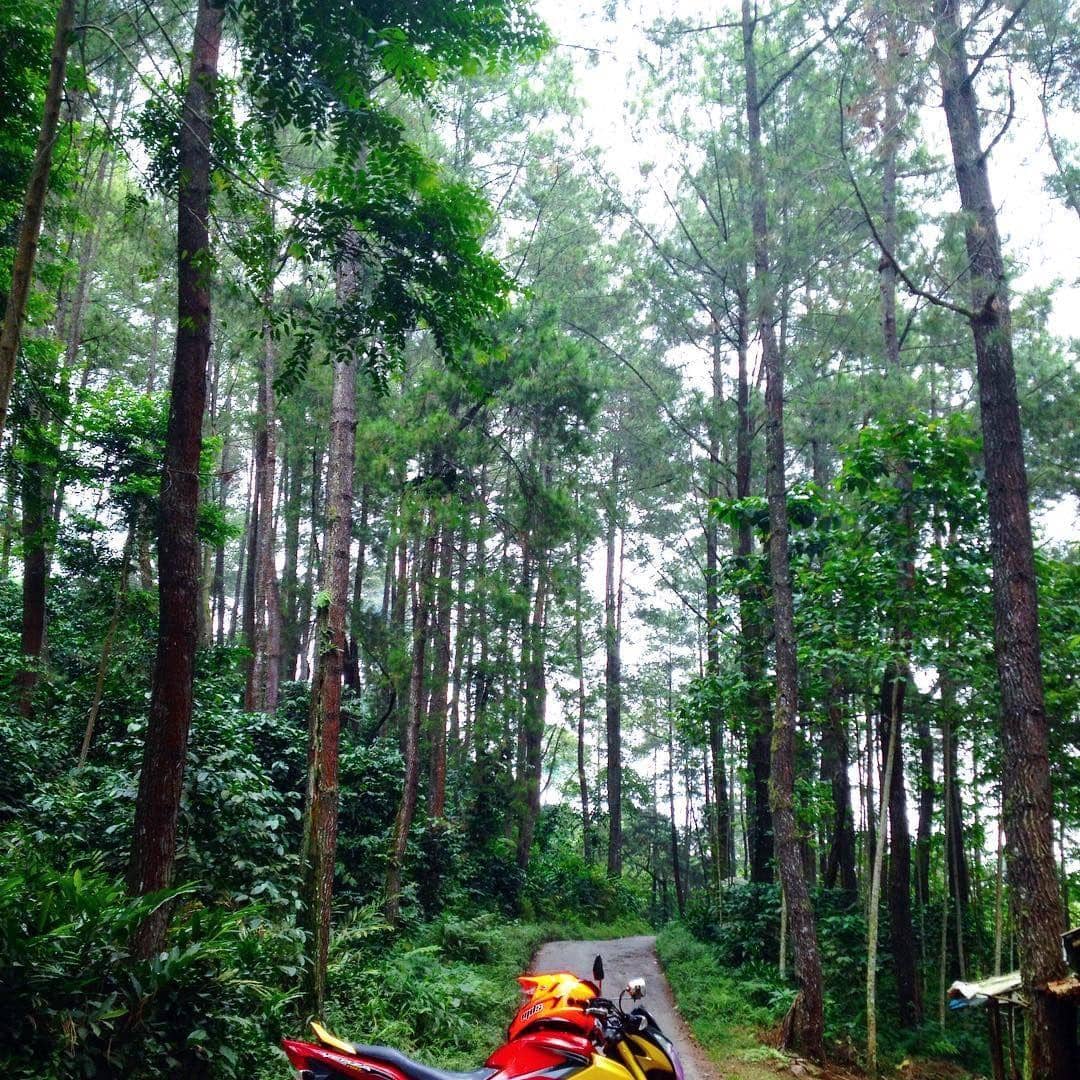 instagram.com/ivanalexander_v.i.j