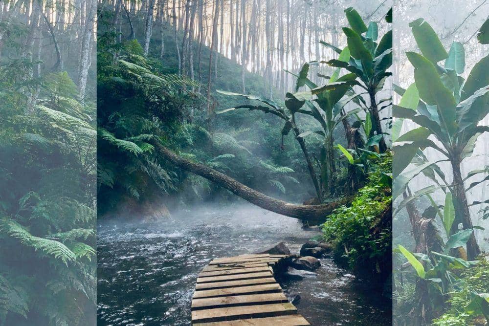 unsplash.com/Hidayat Abisena