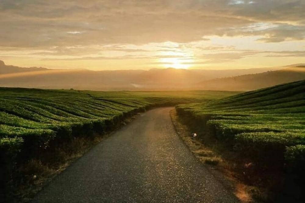 Instagram.com/jamb.ielok