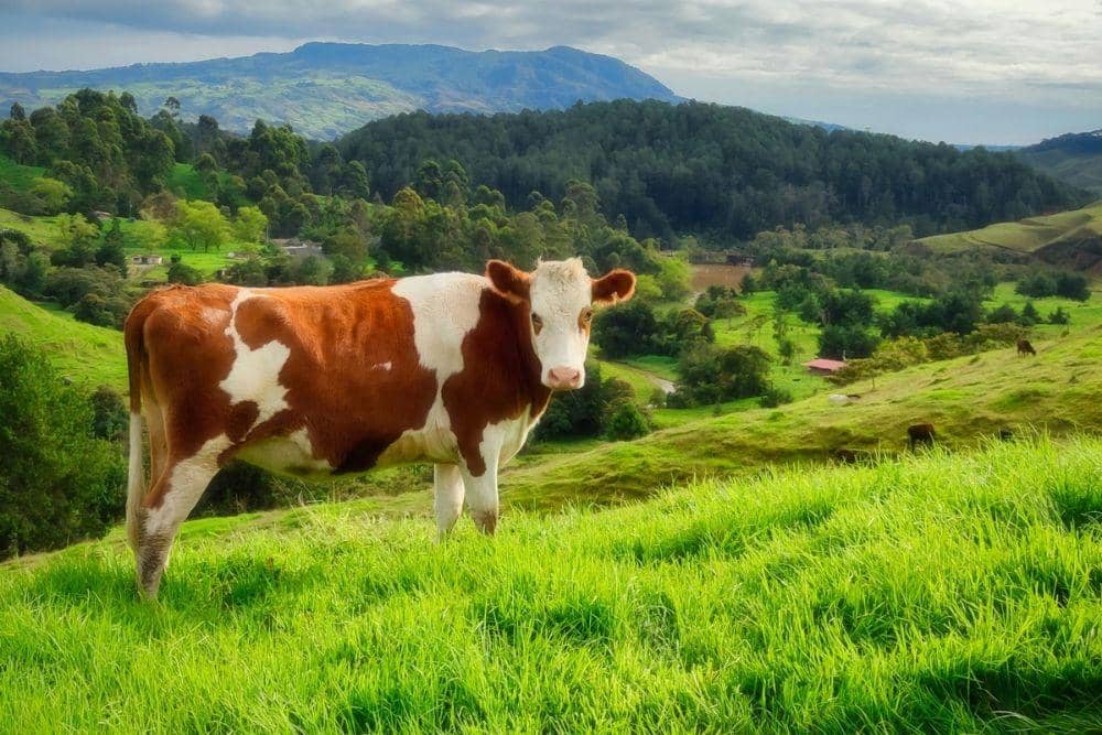 unsplash.com/Gabriel Porras