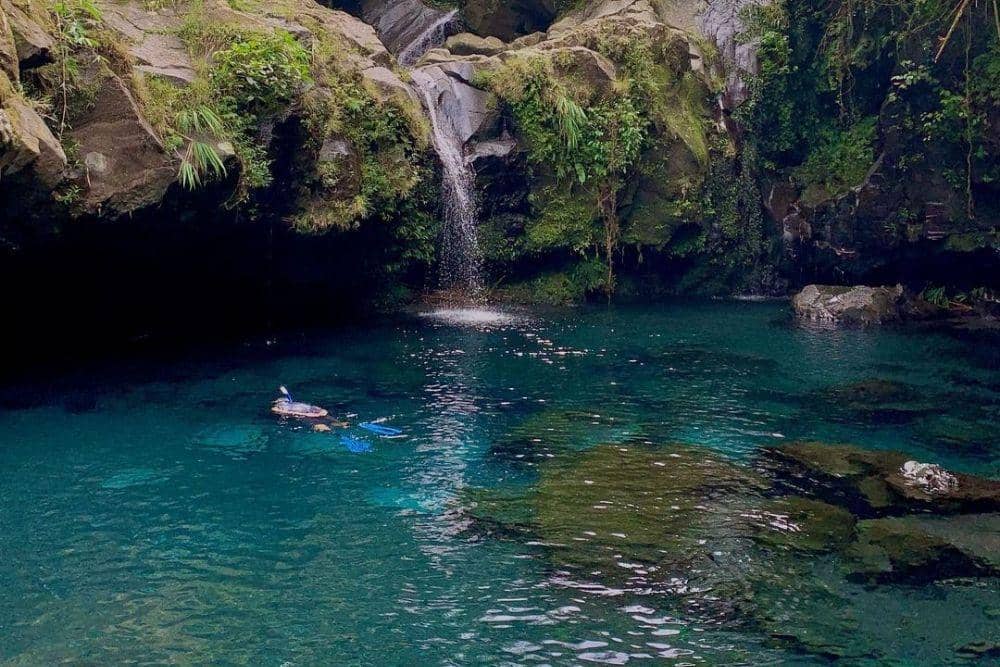 instagram.com/edza.tamara