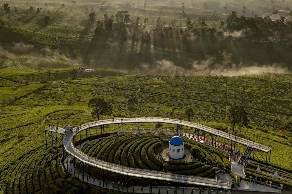 Instagram.com/nimohighland