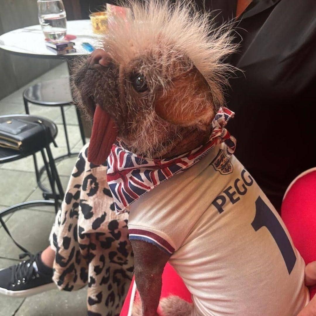 Instagram.com/Dogpool