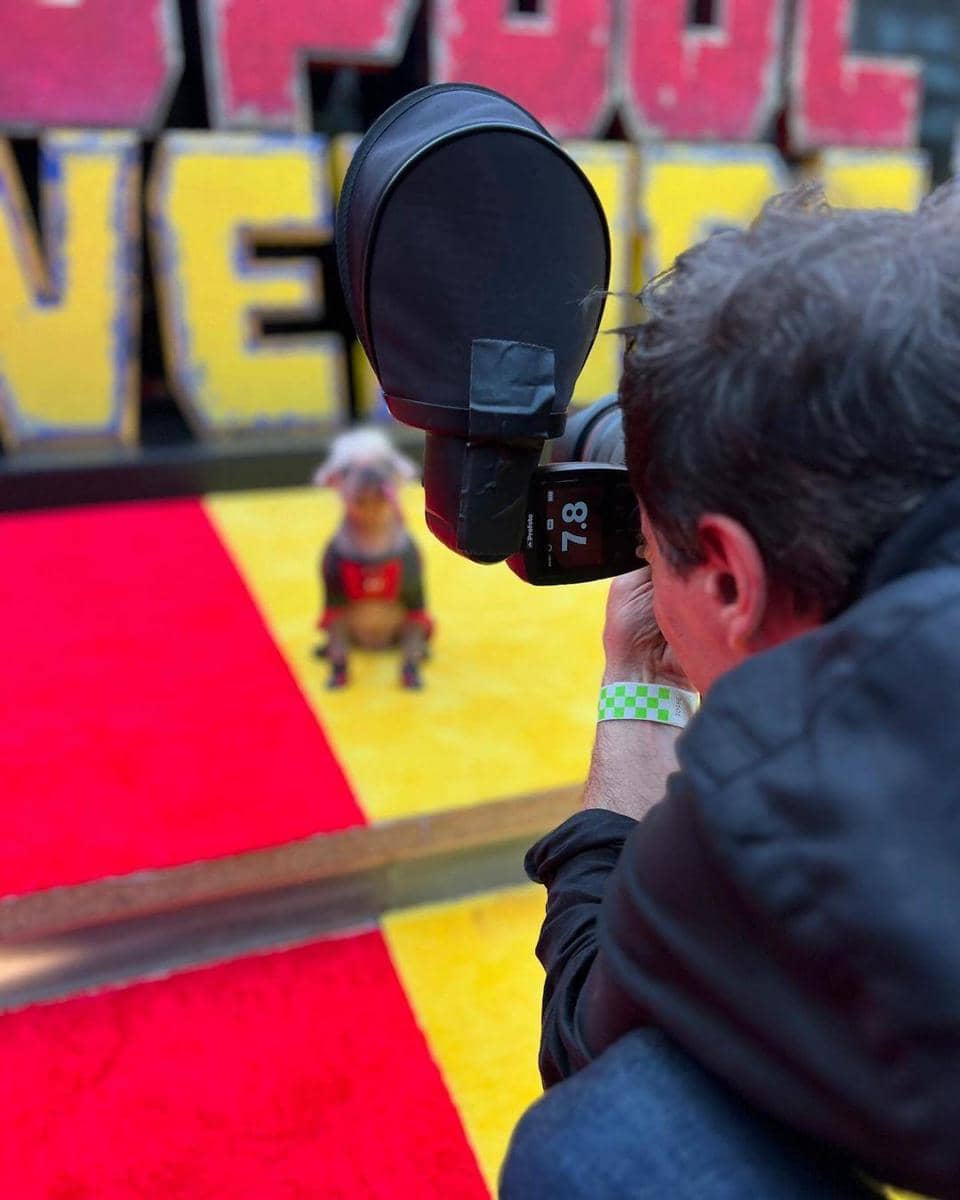 Instagram.com/Dogpool