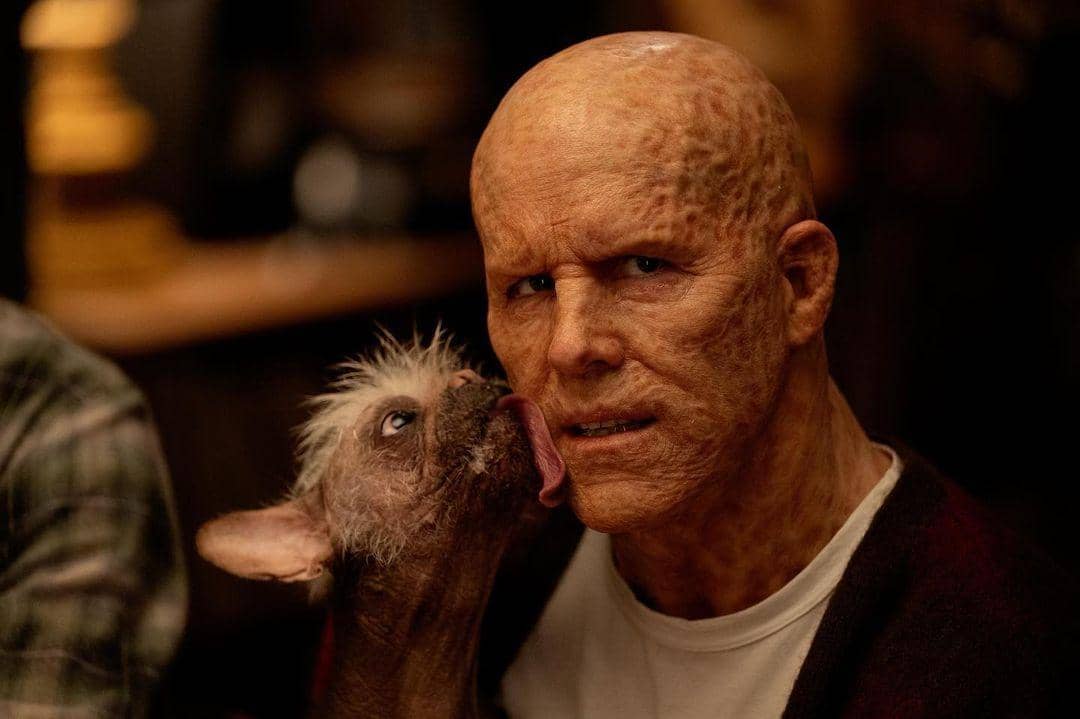 Instagram.com/dogpool