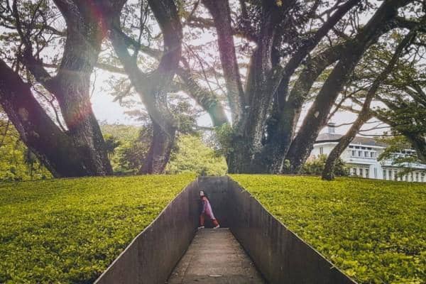 Dok. Berbagai Sumber