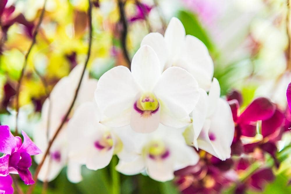 Freepik.com/lifeforstock