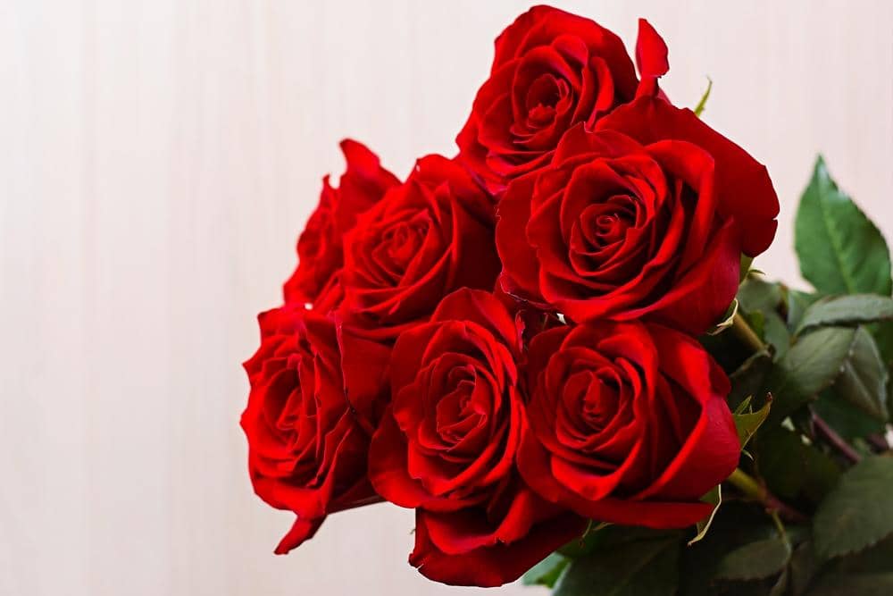 Freepik.com/timolina