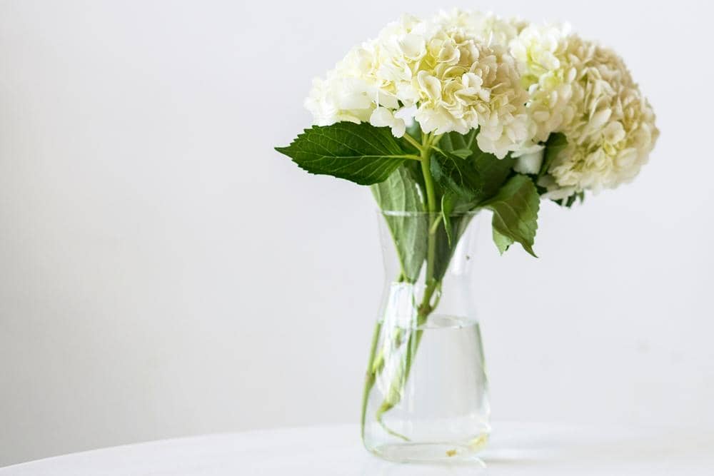 Freepik.com/rawpixel.com