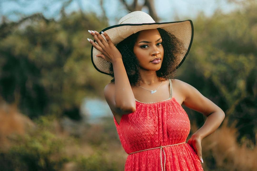 Unsplash.com/Bave Pictures