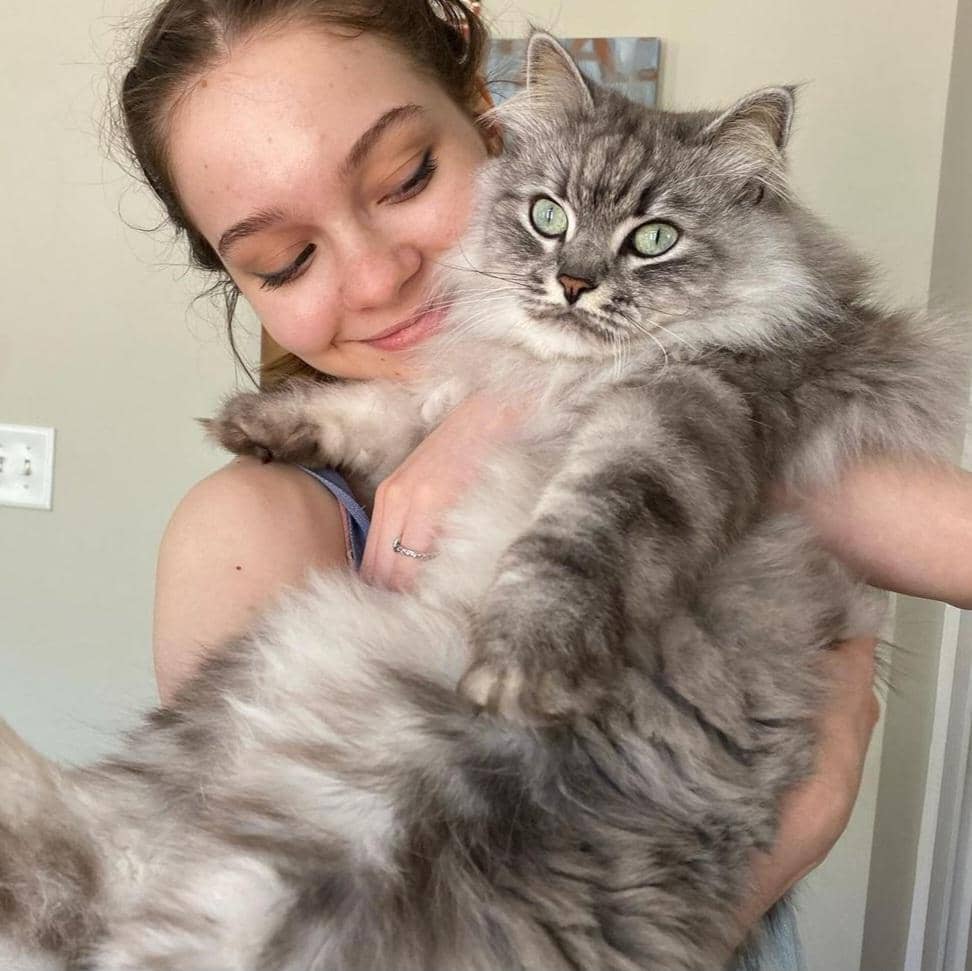 Instagram.com/ememyers