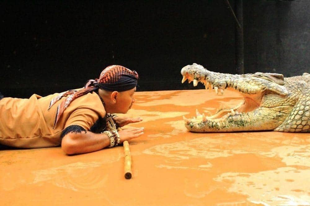 instagram.com/predatorfunpark