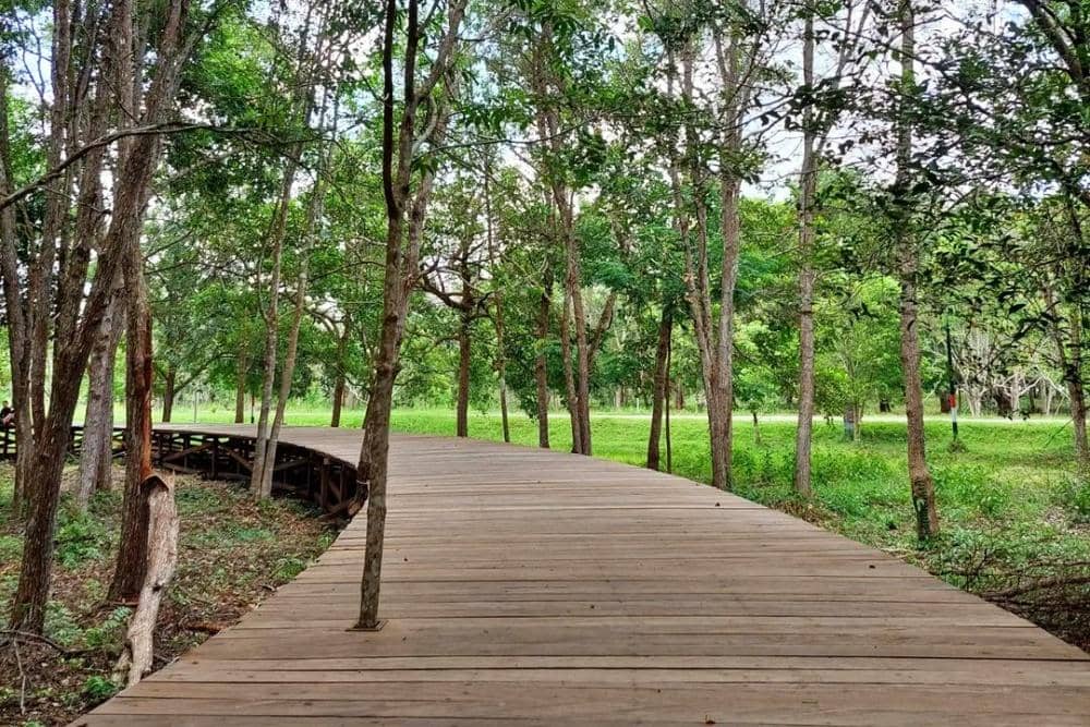 Instagram.com/sukaaasuka