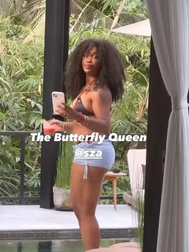 instagram.com/lizzobeeating