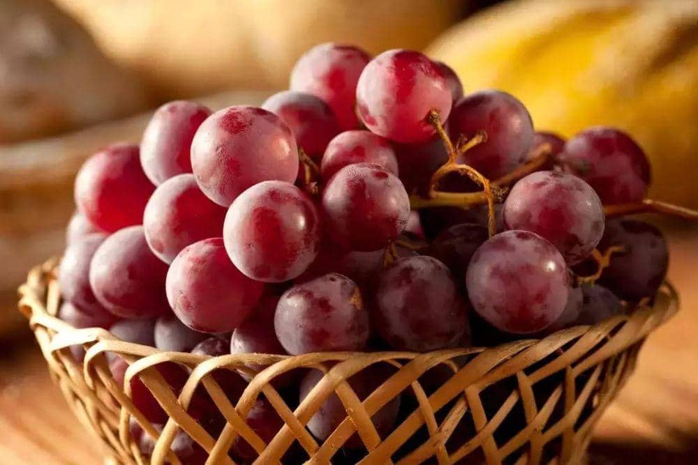 timesofindia.indiatimes.com