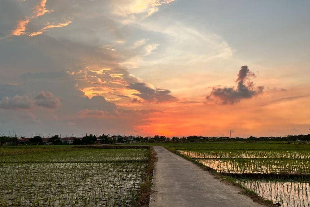 unsplash.com/firaihandi