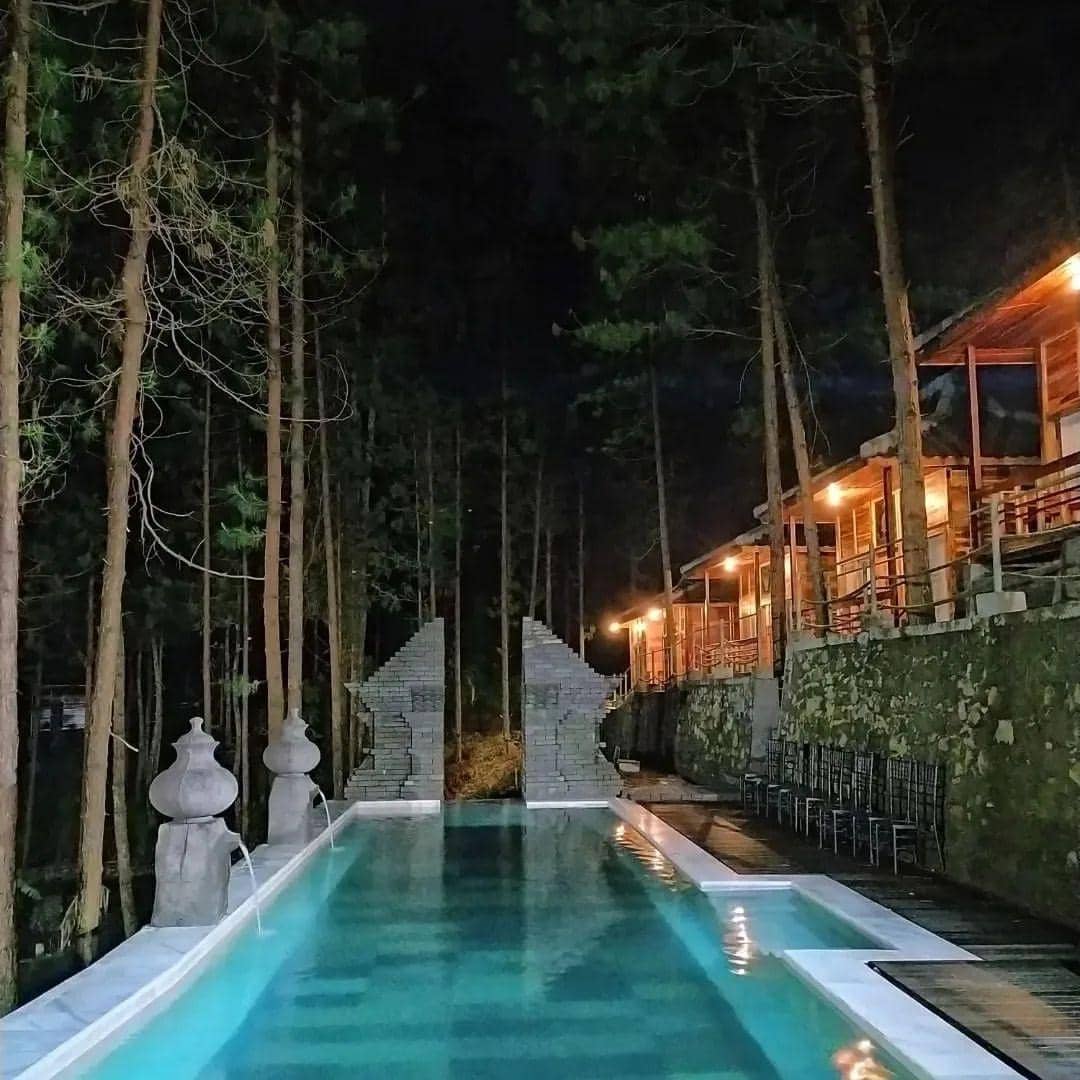 instagram.com/guciforest