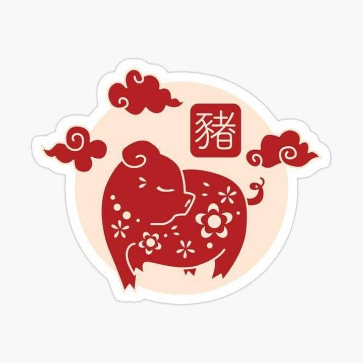 instagram.com/grosirkoe.id