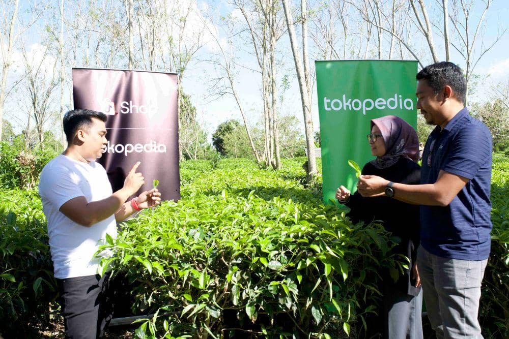 popbela.com/Brew Me Tea