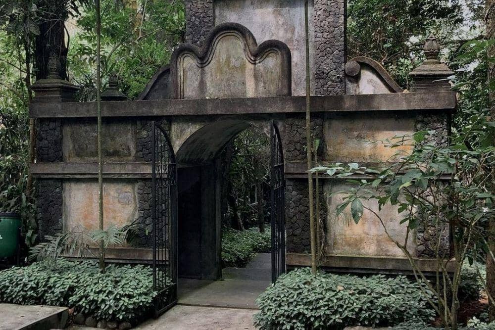 instagram.com/aureliapf