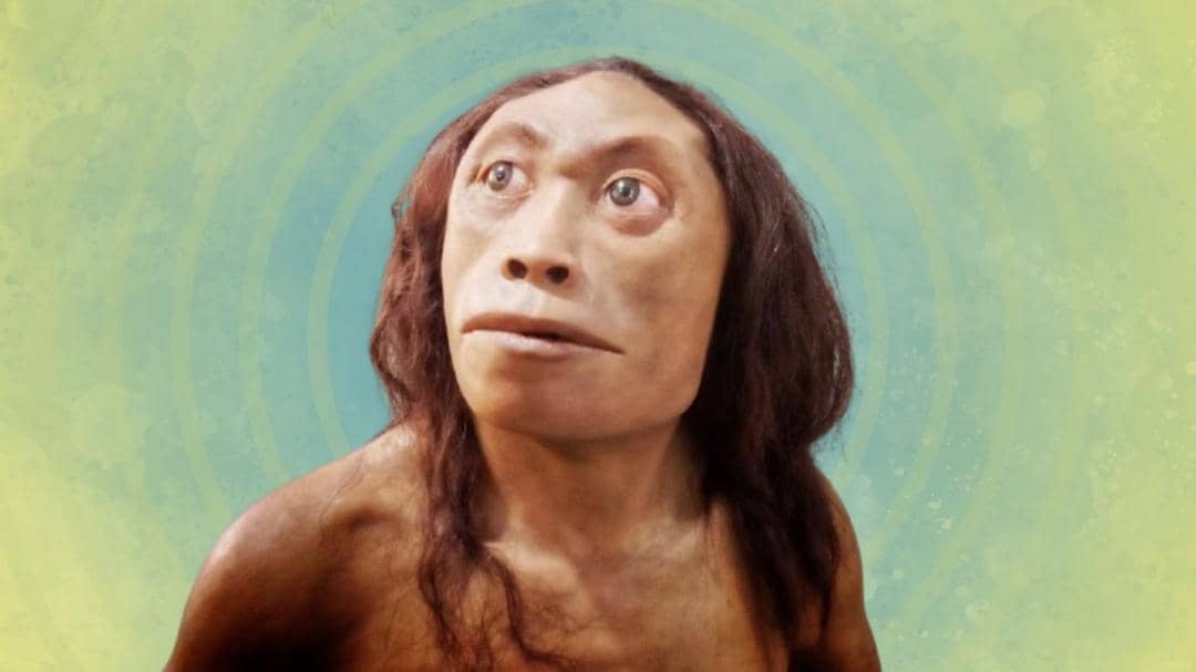 nationalgeographic.grid.id (edited via canva.com)