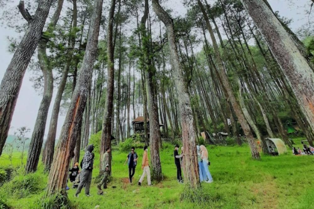 google.com/maps/Sirli Fitriani