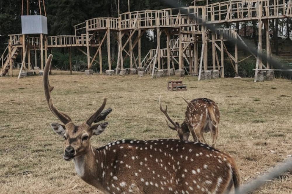 google.com/maps/Pratama Ryan