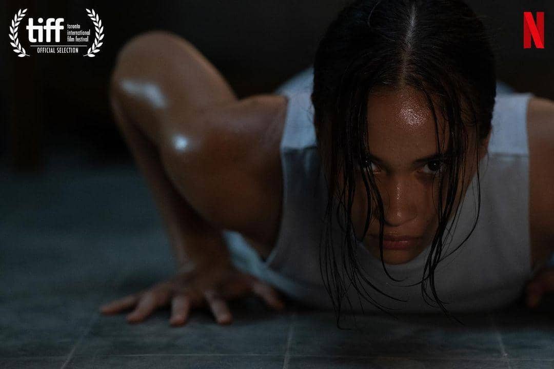 Instagram.com/auroraribero