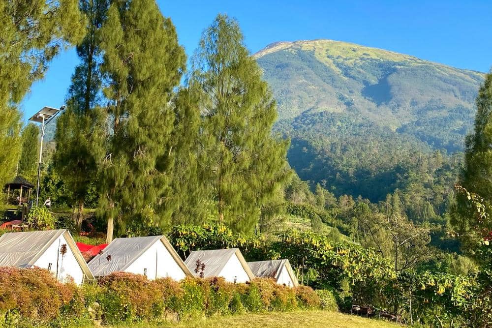 instagram.com/tamanwisata_posong