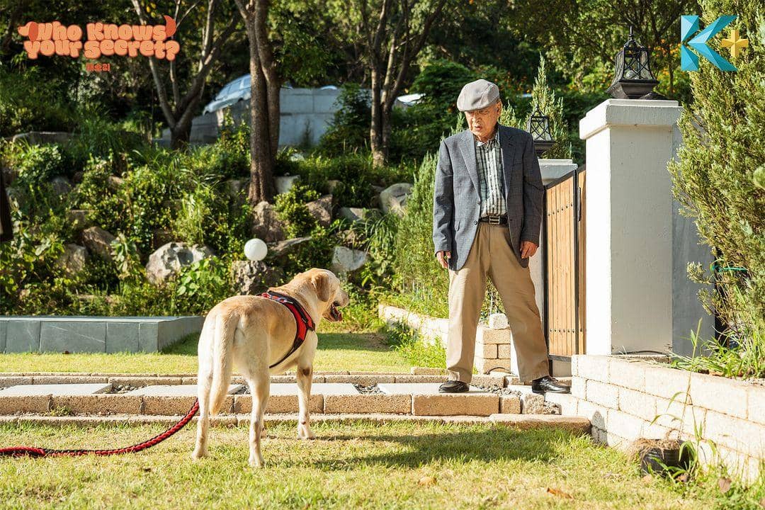 Instagram.com/Kplus_asia