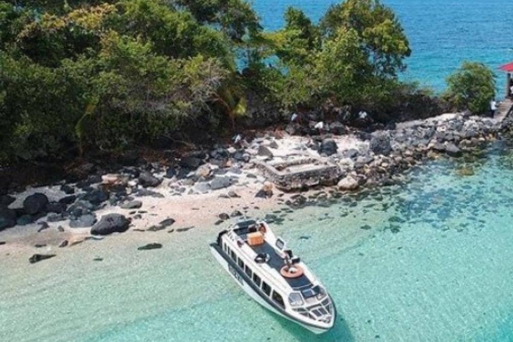 Instagram.com / infohalbar