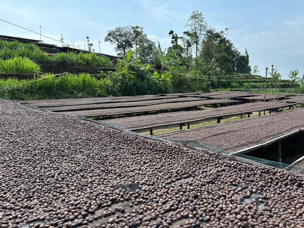 Popbela.com/Niken Ari