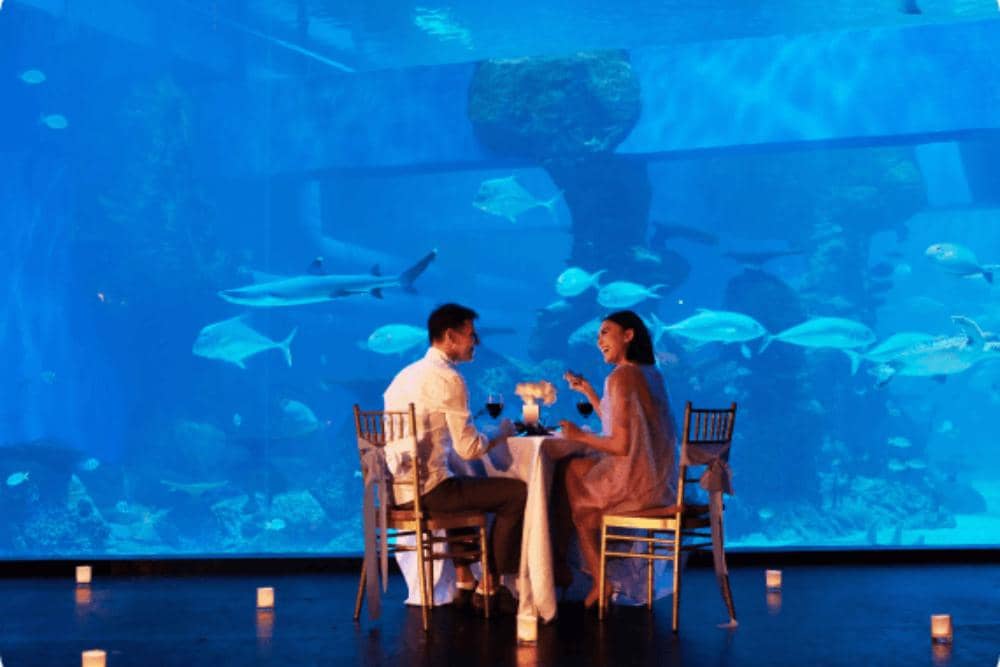 jakartaaquariumsafari.com