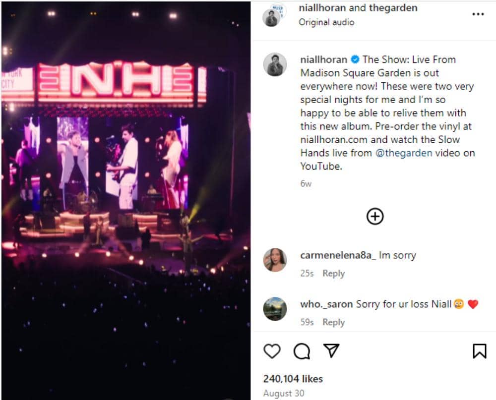 Instagram.com/niallhoran