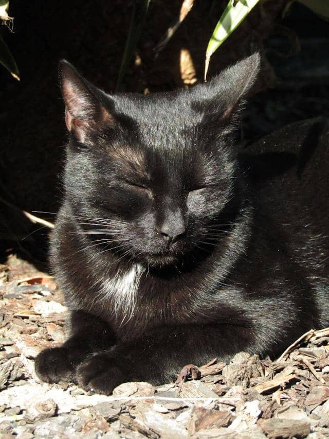 unsplash.com/Katie Alexandra