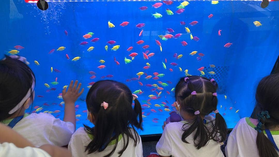 Dok. Living World Alam Sutera