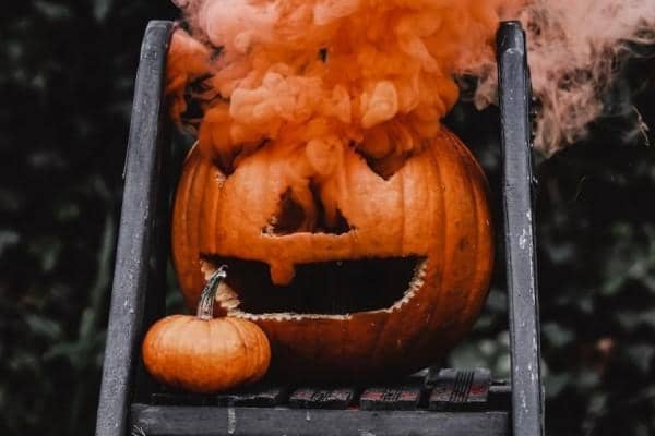 Pexels.com/Nathan J. Hilton