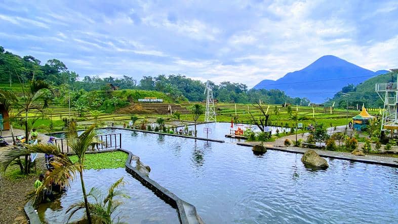 Google Photos/Wisata Sawah Sumber Gempong